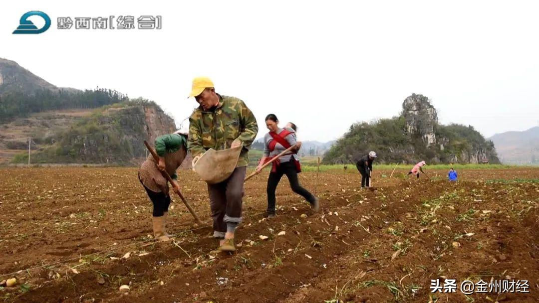 最新興仁下山鎮視頻，揭示一個美麗而充滿活力的鄉村面貌