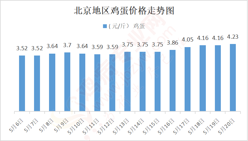 北京雞蛋價格今天最新價