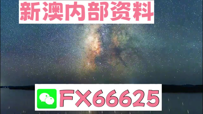 新澳2024年最新版資料與孜孜釋義解釋落實